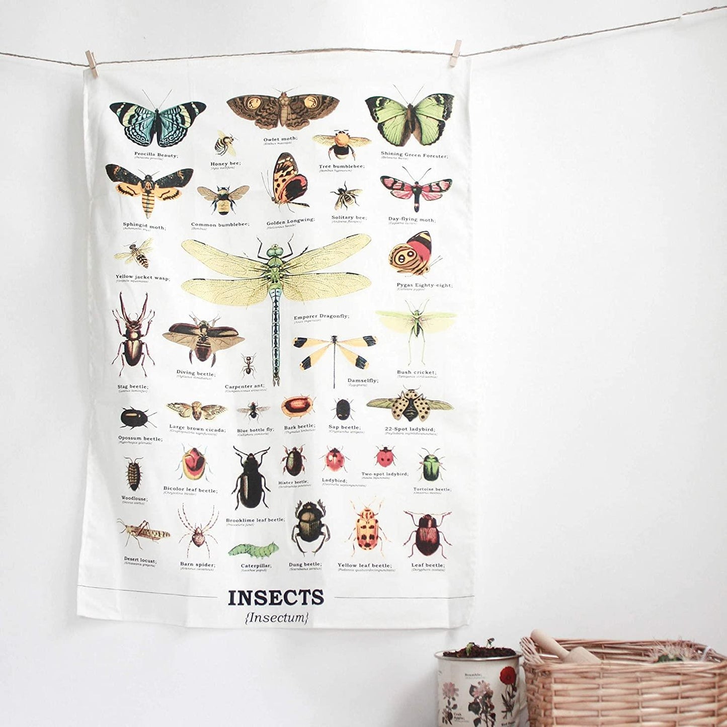 Gift Republic Ecologie Insectum Insects 100% Cotton Kitchen Cream Tea Towel