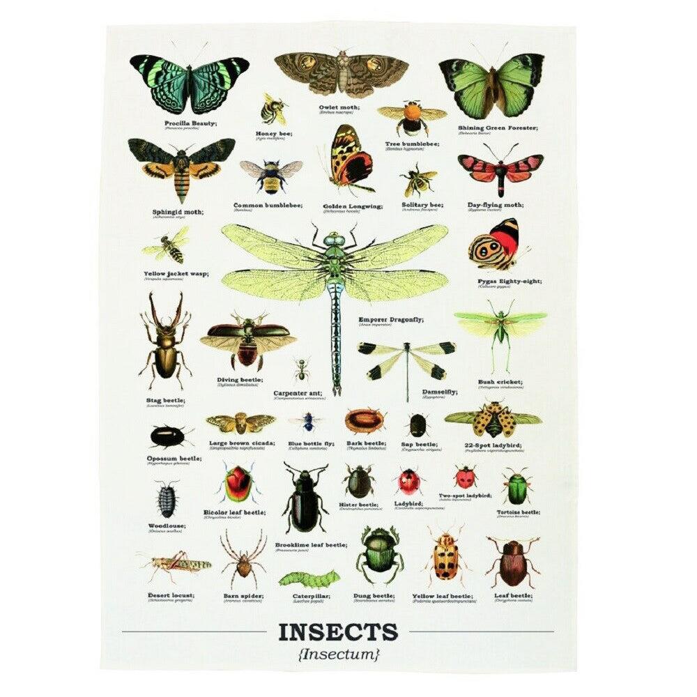 Gift Republic Ecologie Insectum Insects 100% Cotton Kitchen Cream Tea Towel