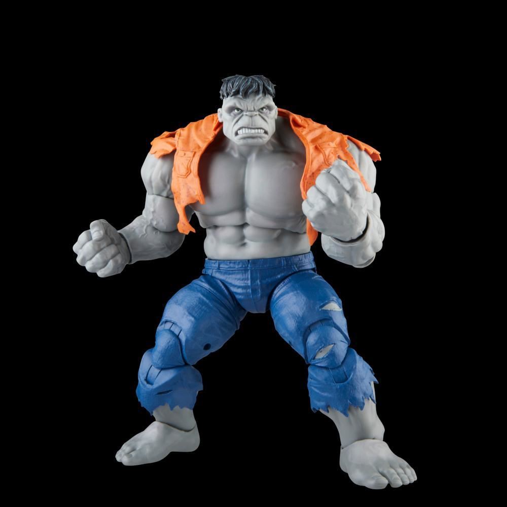 Gray Hulk & Dr. Bruce Banner 6″ Action Figure 2-Pack – Marvel Legends Series F7084 by Hasbro | Comic-Inspired Avengers Duo with Accessories